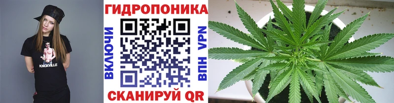 Бошки Шишки гибрид  Красноярск 